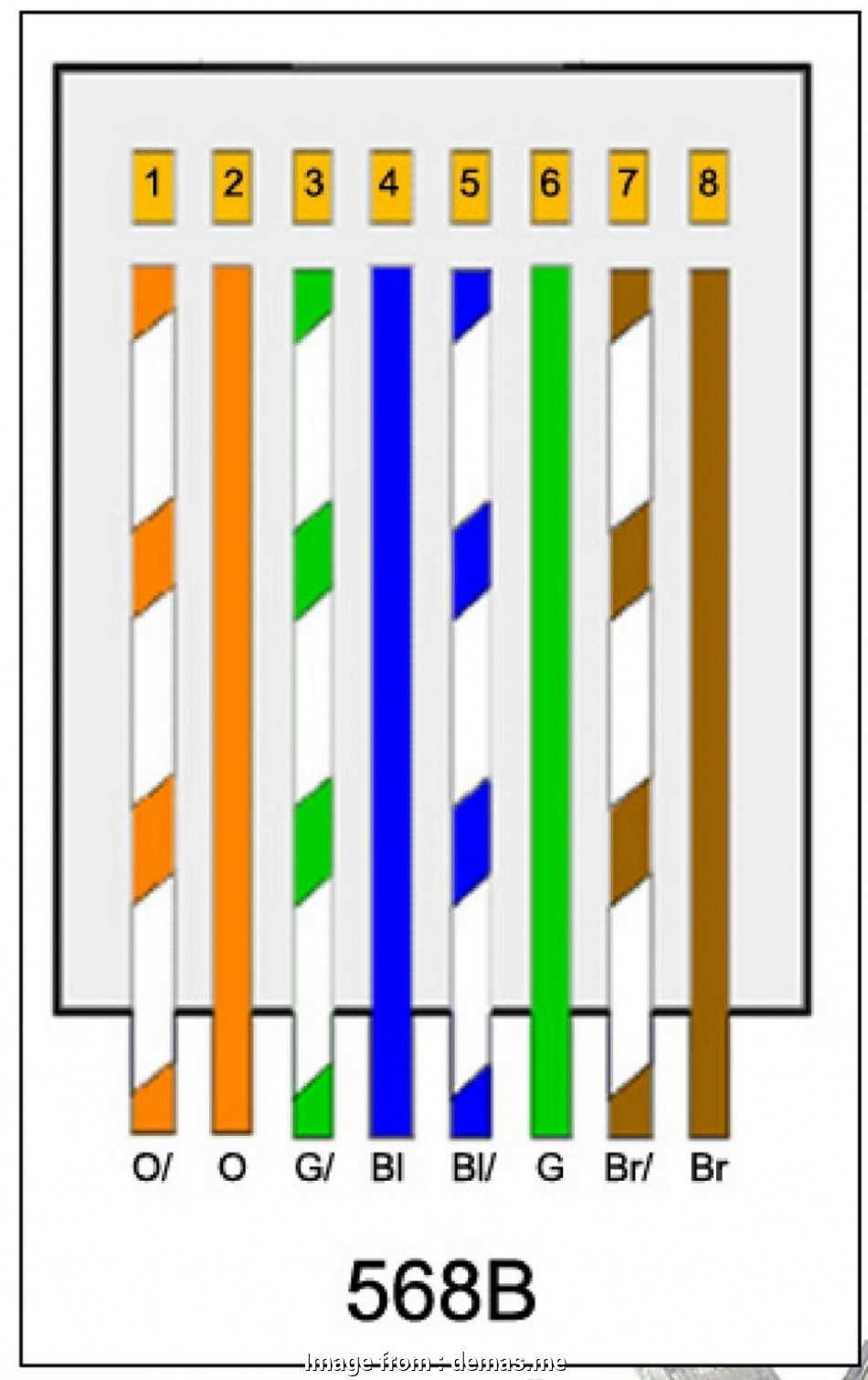 Cat 6 Wiring Diagrams 568A Vs 568B - Seniorsclub.it